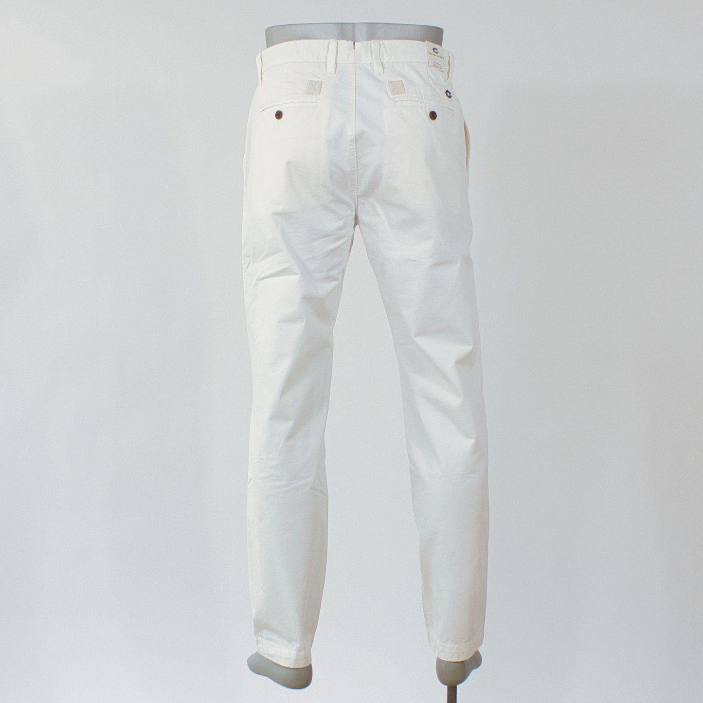 Chesapeake´s Chino, Vit